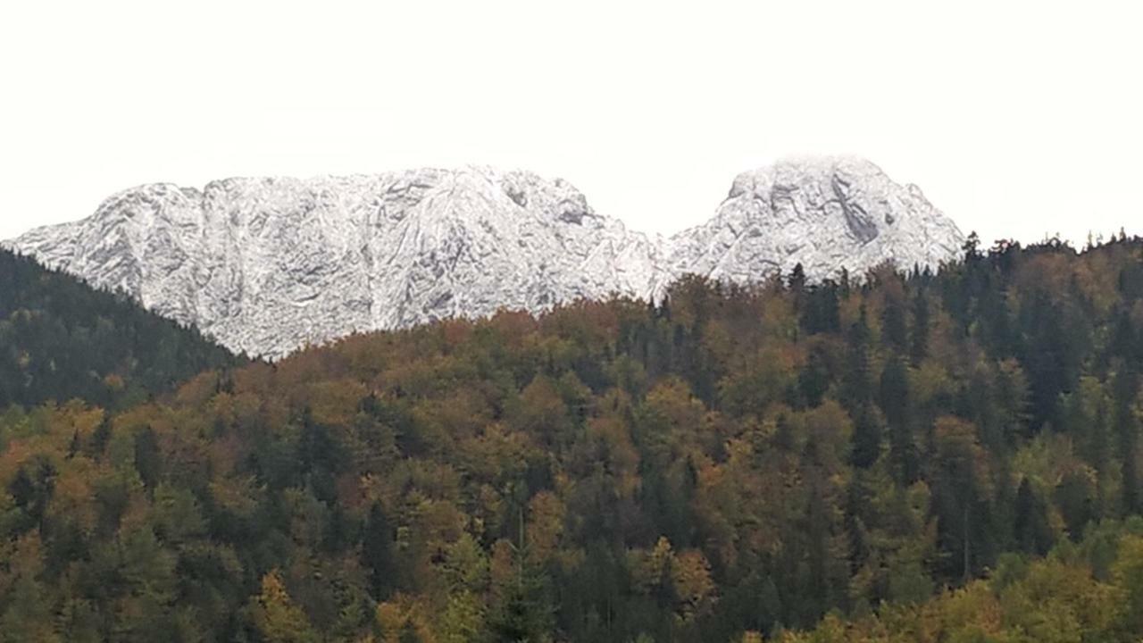 Apartament 33.13.A. Zakopane Exteriér fotografie