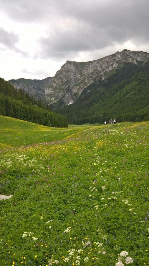 Apartament 33.13.A. Zakopane Exteriér fotografie