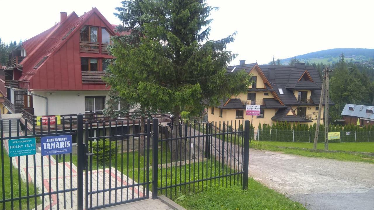 Apartament 33.13.A. Zakopane Exteriér fotografie